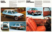 1980 AMC Full Line Prestige-20-21.jpg